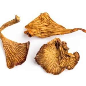 Chanterelles Mushroom