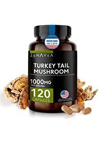 Turkey Tail Mushroom Capsules