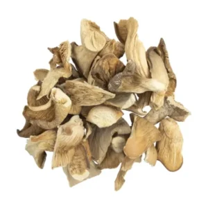 Oyster Mushrooms