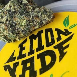 LemonAde weed strain